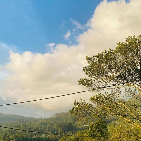 Cool Planet Rest Inn Haputale Bagian luar foto