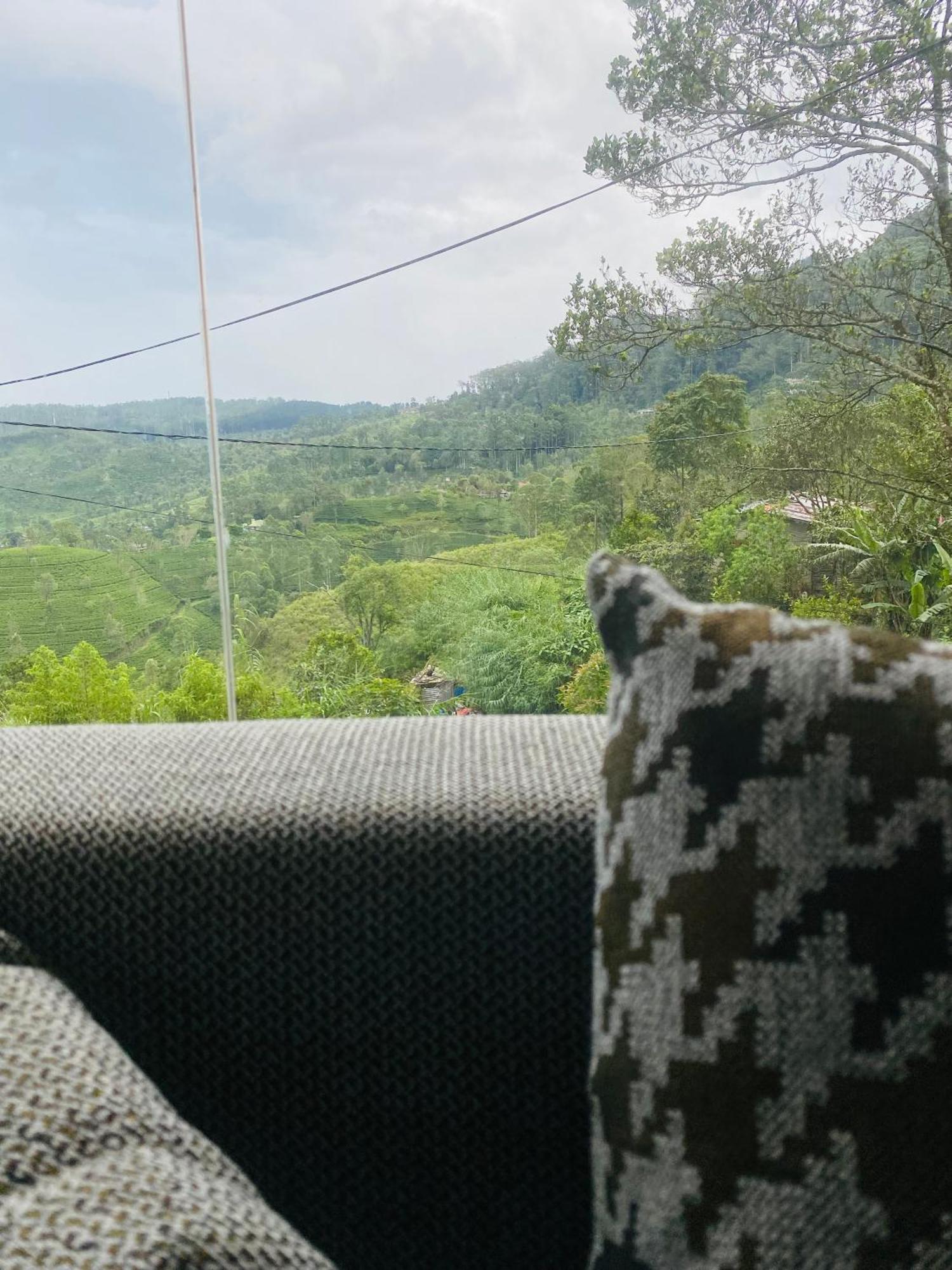 Cool Planet Rest Inn Haputale Bagian luar foto